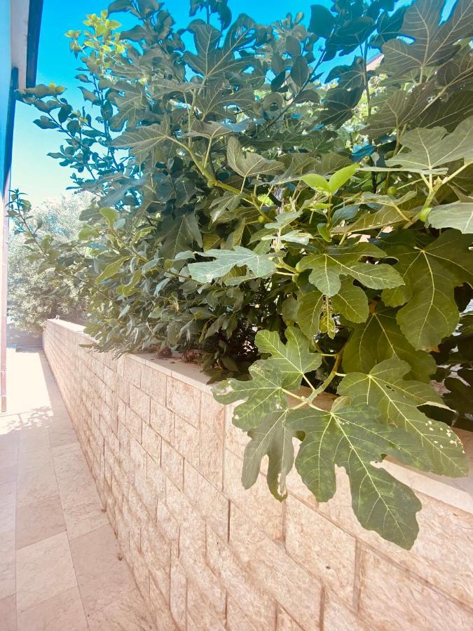 Hotel Buenavista Beach House Trogir Mastrinka Exteriör bild